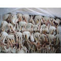 frozen cut crab sand crab blue crab in sale